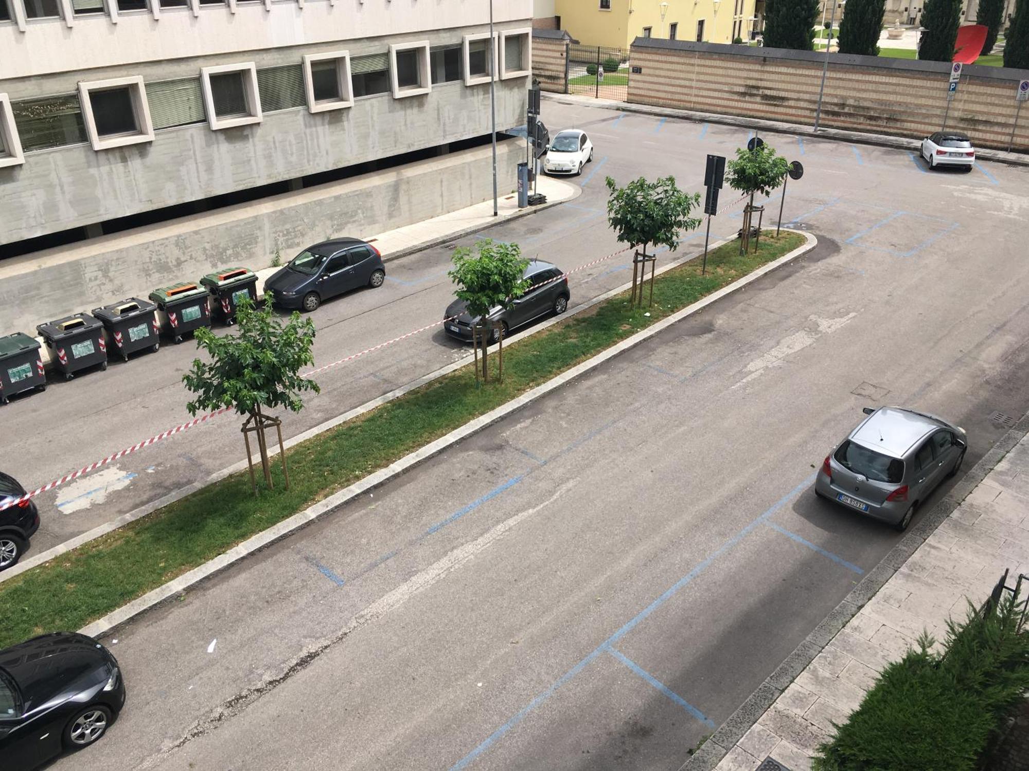 Bed and Breakfast Domus Fluminis Верона Экстерьер фото